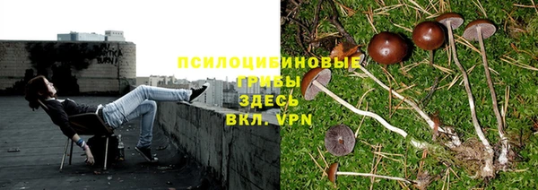 Альфа ПВП Арсеньев