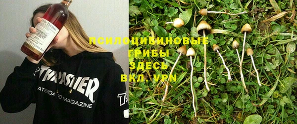 Альфа ПВП Арсеньев