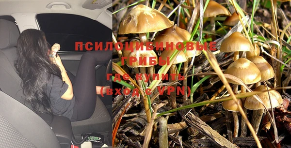 Альфа ПВП Арсеньев